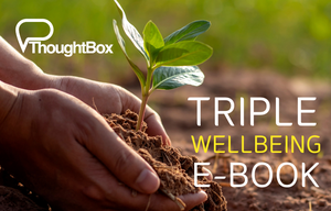 Cover image: Triple Wellbeing E-Book