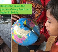 Cover image: Fairtrade Brazil Nut Ecology